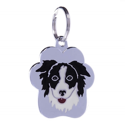 Picture of TAG RAINBOW BORDER COLLIE B&W